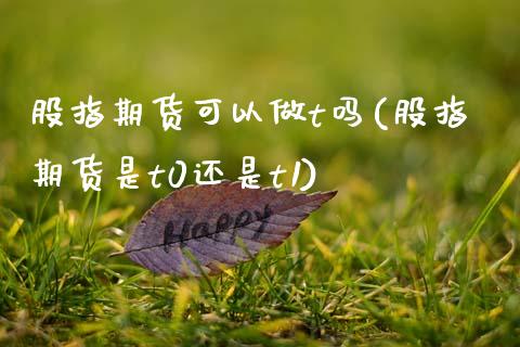 股指期货可以做t吗(股指期货是t0还是t1)_https://www.boyangwujin.com_期货科普_第1张