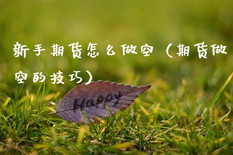 新手期货怎么做空（期货做空的技巧）_https://www.boyangwujin.com_恒生指数_第1张