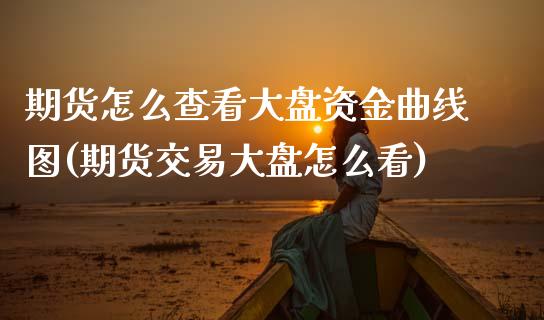 期货怎么查看大盘资金曲线图(期货交易大盘怎么看)_https://www.boyangwujin.com_期货科普_第1张