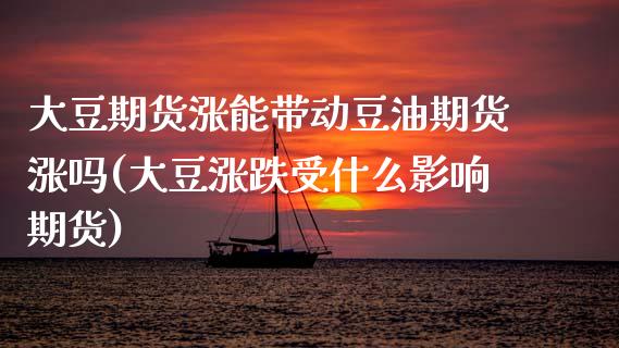 大豆期货涨能带动豆油期货涨吗(大豆涨跌受什么影响期货)_https://www.boyangwujin.com_期货直播间_第1张