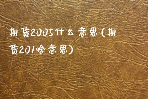 期货2005什么意思(期货201啥意思)
