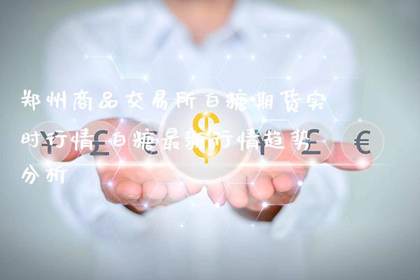 郑州商品交易所白糖期货实时行情 白糖最新行情趋势分析