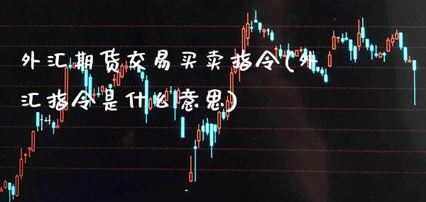 外汇期货交易买卖指令(外汇指令是什么意思)_https://www.boyangwujin.com_期货直播间_第1张