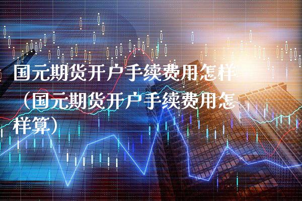国元期货开户手续费用怎样（国元期货开户手续费用怎样算）_https://www.boyangwujin.com_原油期货_第1张