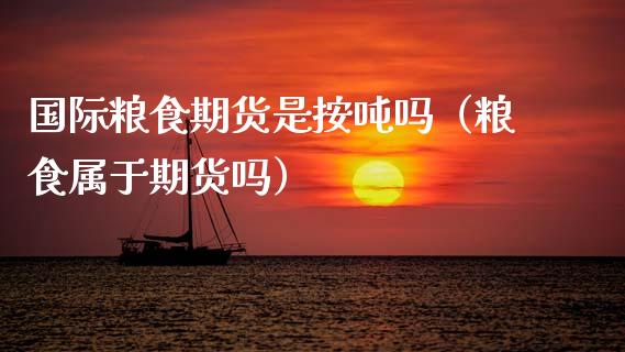 国际粮食期货是按吨吗（粮食属于期货吗）