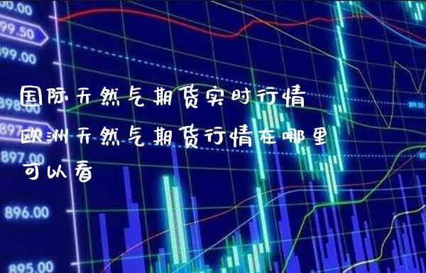 国际天然气期货实时行情 欧洲天然气期货行情在哪里可以看
