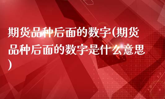 期货品种后面的数字(期货品种后面的数字是什么意思)_https://www.boyangwujin.com_期货直播间_第1张