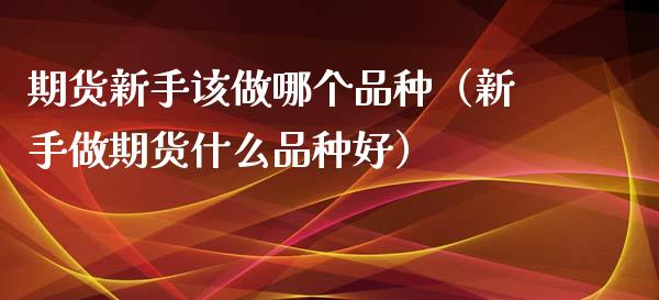 期货新手该做哪个品种（新手做期货什么品种好）