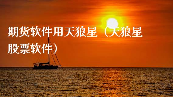 期货软件用天狼星（天狼星股票软件）