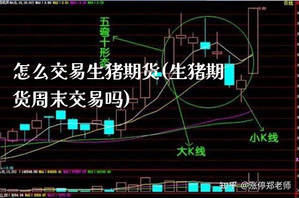 怎么交易生猪期货(生猪期货周末交易吗)_https://www.boyangwujin.com_内盘期货_第1张
