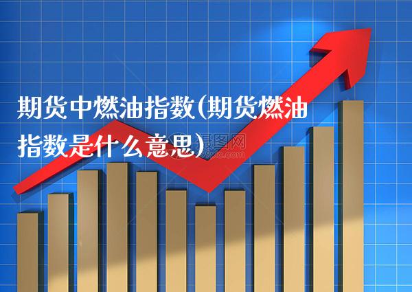 期货中燃油指数(期货燃油指数是什么意思)_https://www.boyangwujin.com_期货开户_第1张