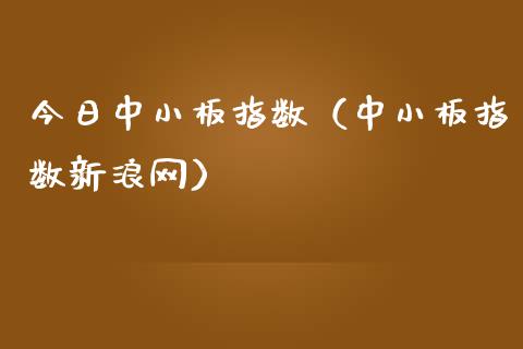 今日中小板指数（中小板指数新浪网）