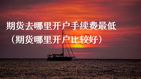 期货去哪里开户手续费最低（期货哪里开户比较好）_https://www.boyangwujin.com_黄金期货_第1张
