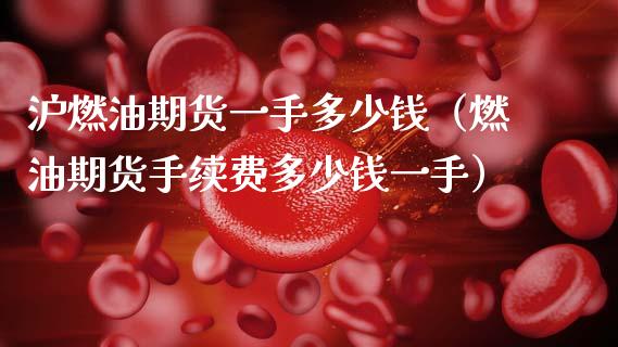沪燃油期货一手多少钱（燃油期货手续费多少钱一手）_https://www.boyangwujin.com_黄金期货_第1张