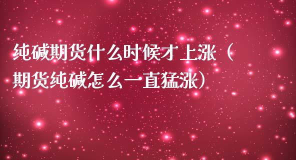 纯碱期货什么时候才上涨（期货纯碱怎么一直猛涨）_https://www.boyangwujin.com_原油期货_第1张