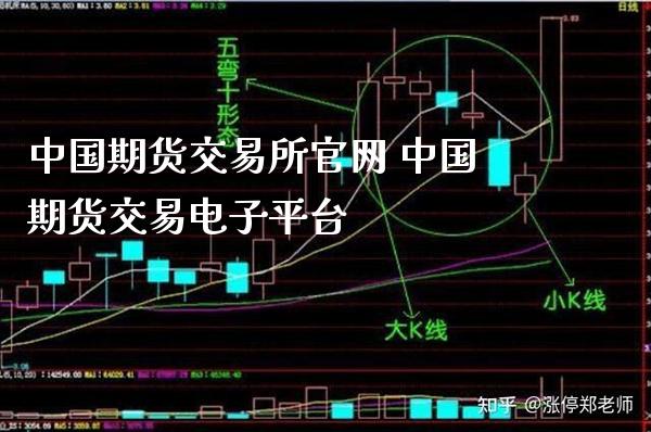 中国期货交易所官网 中国期货交易电子平台