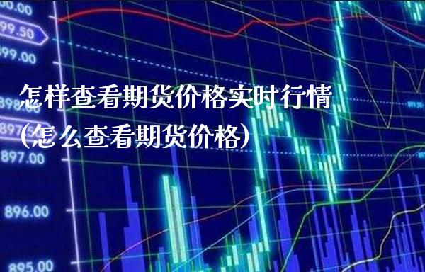 怎样查看期货价格实时行情(怎么查看期货价格)_https://www.boyangwujin.com_期货直播间_第1张