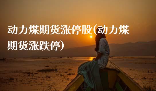 动力煤期货涨停股(动力煤期货涨跌停)