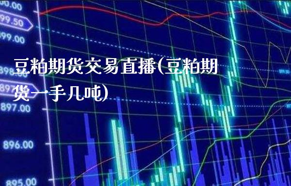 豆粕期货交易直播(豆粕期货一手几吨)_https://www.boyangwujin.com_期货直播间_第1张