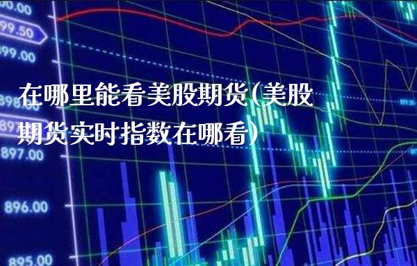 在哪里能看美股期货(美股期货实时指数在哪看)_https://www.boyangwujin.com_黄金期货_第1张
