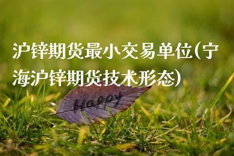 沪锌期货最小交易单位(宁海沪锌期货技术形态)_https://www.boyangwujin.com_期货科普_第1张