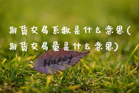期货交易系数是什么意思(期货交易量是什么意思)_https://www.boyangwujin.com_期货科普_第1张