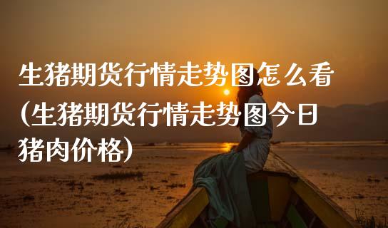 生猪期货行情走势图怎么看(生猪期货行情走势图今日猪肉价格)_https://www.boyangwujin.com_期货直播间_第1张