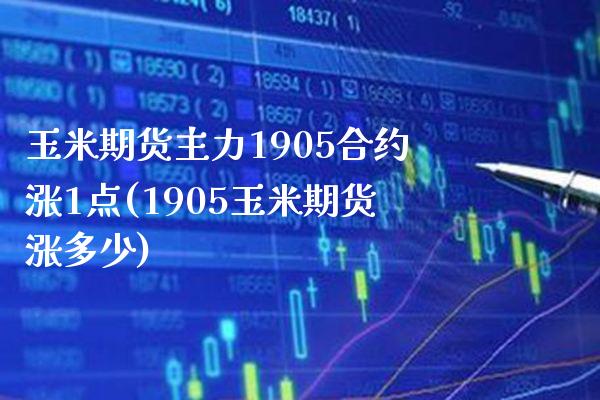 玉米期货主力1905合约涨1点(1905玉米期货涨多少)_https://www.boyangwujin.com_道指期货_第1张