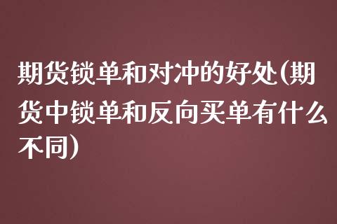 期货锁单和对冲的好处(期货中锁单和反向买单有什么不同)_https://www.boyangwujin.com_期货直播间_第1张