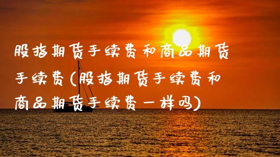 股指期货手续费和商品期货手续费(股指期货手续费和商品期货手续费一样吗)_https://www.boyangwujin.com_原油期货_第1张