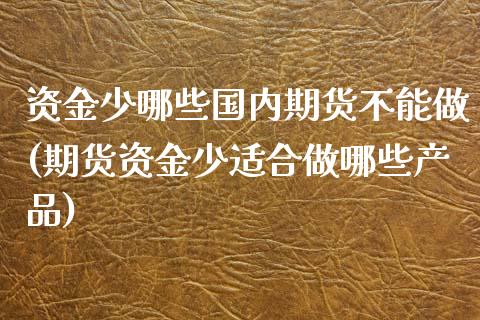 资金少哪些国内期货不能做(期货资金少适合做哪些产品)