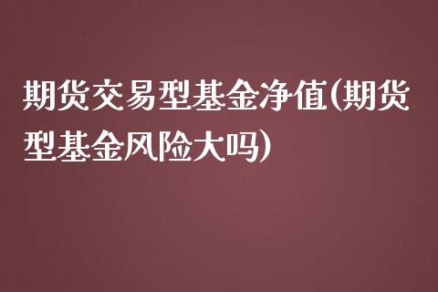 期货交易型基金净值(期货型基金风险大吗)