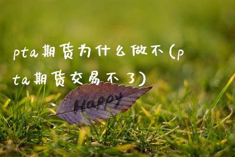 pta期货为什么做不(pta期货交易不了)_https://www.boyangwujin.com_内盘期货_第1张
