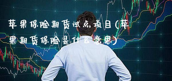 苹果保险期货试点项目(苹果期货保险是什么意思)