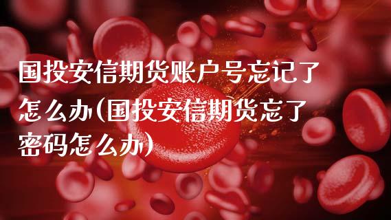 国投安信期货账户号忘记了怎么办(国投安信期货忘了密码怎么办)