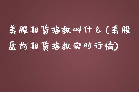 美股期货指数叫什么(美股盘前期货指数实时行情)