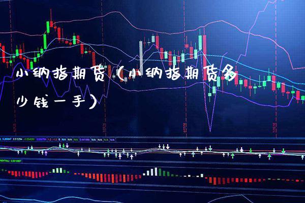 小纳指期货（小纳指期货多少钱一手）
