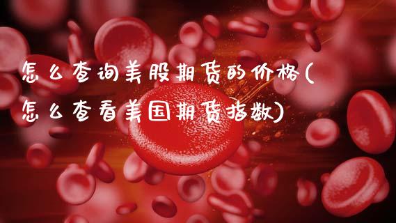 怎么查询美股期货的价格(怎么查看美国期货指数)