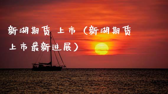 新湖期货 上市（新湖期货上市最新进展）