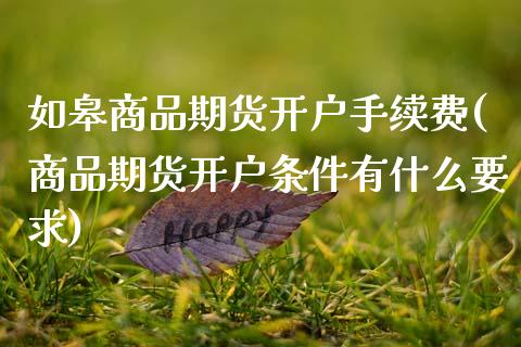 如皋商品期货开户手续费(商品期货开户条件有什么要求)_https://www.boyangwujin.com_期货科普_第1张