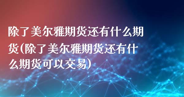 除了美尔雅期货还有什么期货(除了美尔雅期货还有什么期货可以交易)