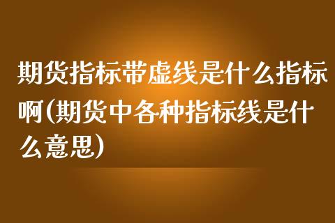 期货指标带虚线是什么指标啊(期货中各种指标线是什么意思)_https://www.boyangwujin.com_黄金期货_第1张