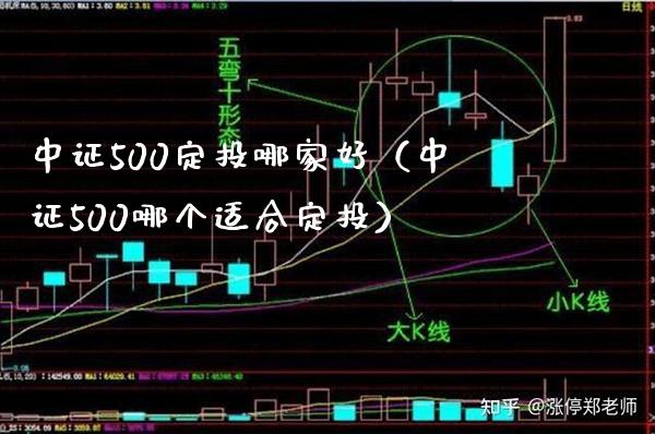 中证500定投哪家好（中证500哪个适合定投）_https://www.boyangwujin.com_期货直播间_第1张