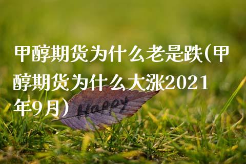 甲醇期货为什么老是跌(甲醇期货为什么大涨2021年9月)