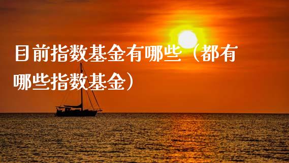 目前指数基金有哪些（都有哪些指数基金）_https://www.boyangwujin.com_原油期货_第1张
