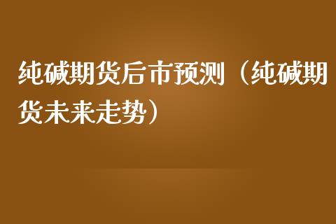 纯碱期货后市预测（纯碱期货未来走势）_https://www.boyangwujin.com_白银期货_第1张