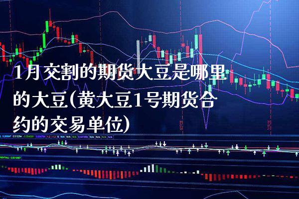 1月交割的期货大豆是哪里的大豆(黄大豆1号期货合约的交易单位)_https://www.boyangwujin.com_恒生指数_第1张
