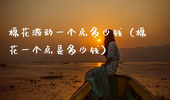 棉花波动一个点多少钱（棉花一个点是多少钱）
