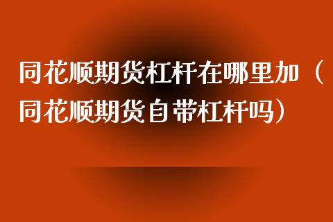 同花顺期货杠杆在哪里加（同花顺期货自带杠杆吗）_https://www.boyangwujin.com_期货直播间_第1张