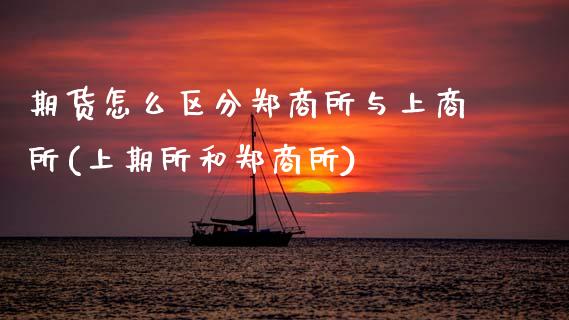 期货怎么区分郑商所与上商所(上期所和郑商所)